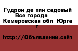 Гудрон де пин садовый - Все города  »    . Кемеровская обл.,Юрга г.